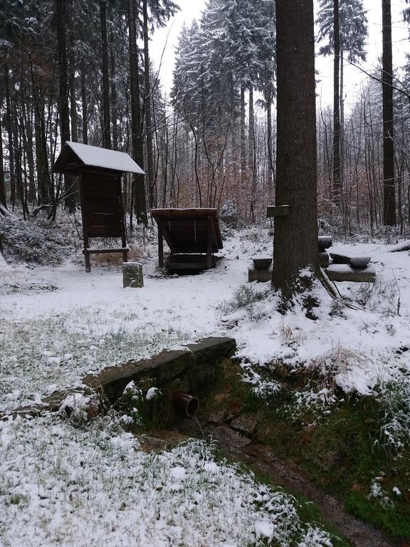 Apartmany Krasna - K68 Jablonec nad Nisou Eksteriør billede